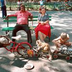 D. Gorton, Tender Vittles, Cats on Parade, Central Park Mall, Manhattan, 1978, NYC Parks Photo Archive